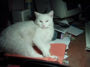 alweer iet nieuw, zoiets als een pyramideachtige exploslosie te zijn? Raar in deze tijd.